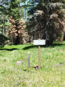 sign