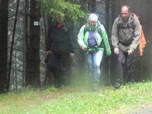 Frankenwald