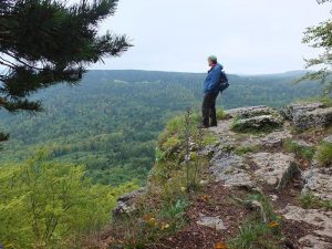Albstadt Hike