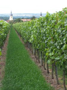 Steigerwald