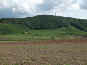 Steigerwald