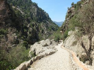 Tramuntana Trek