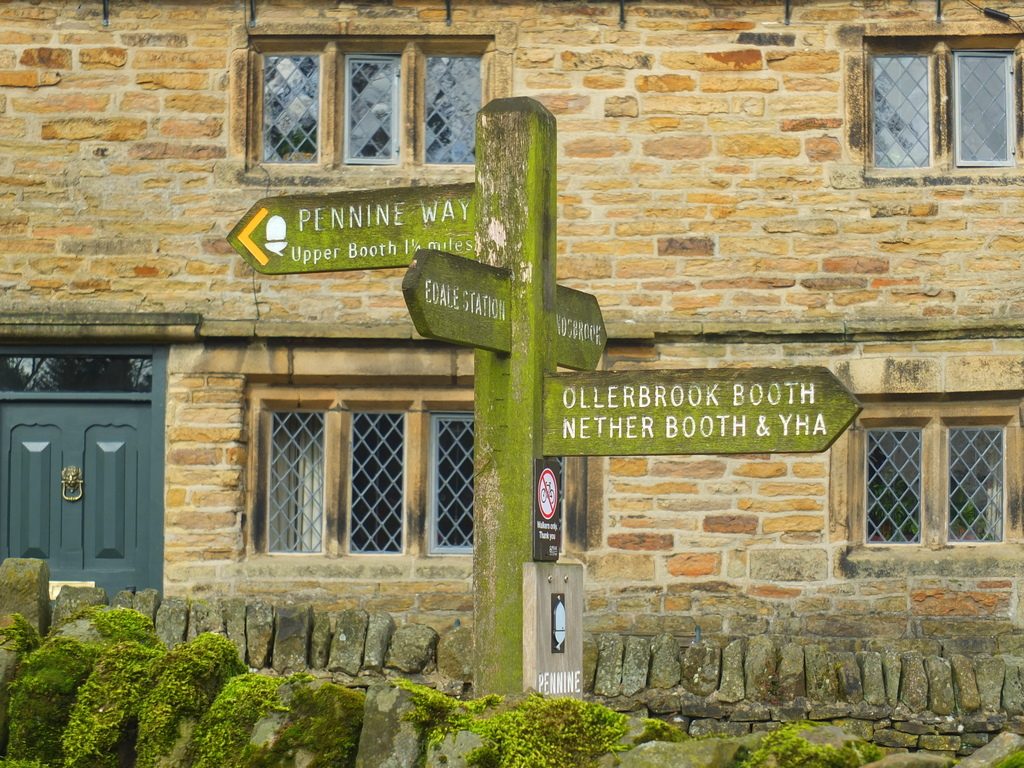 way sign way sign