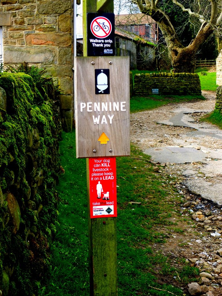 way sign way sign
