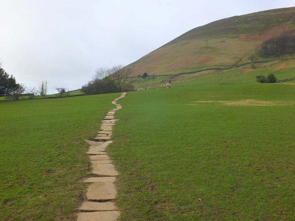Pathway