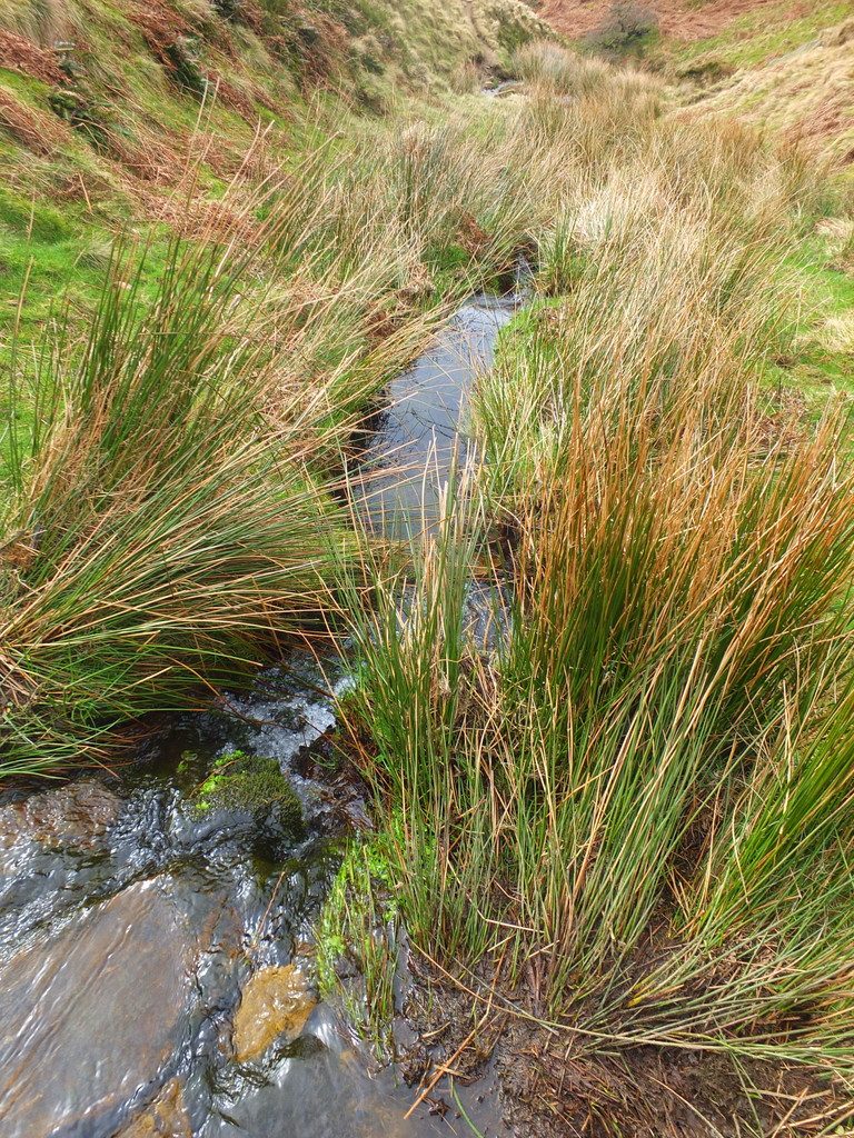 One of the many streams crossing the route The Pennine Way