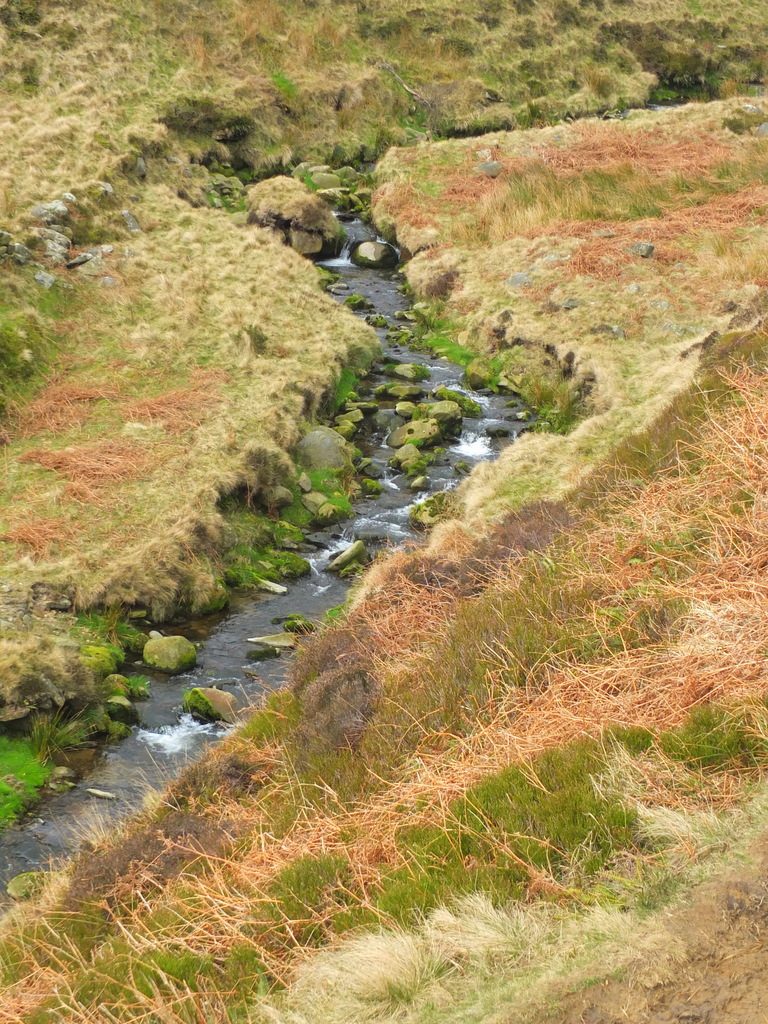 Stream along The Pennine Way The Pennine Way