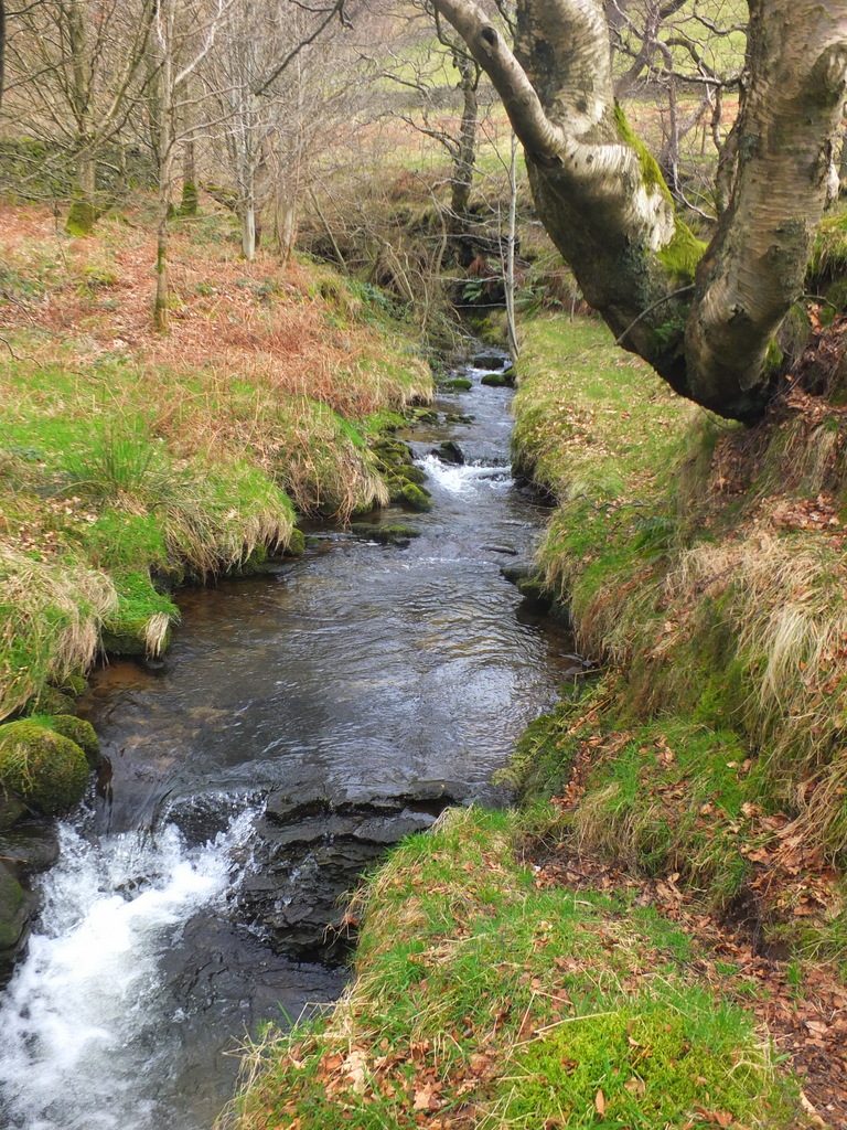 stream stream