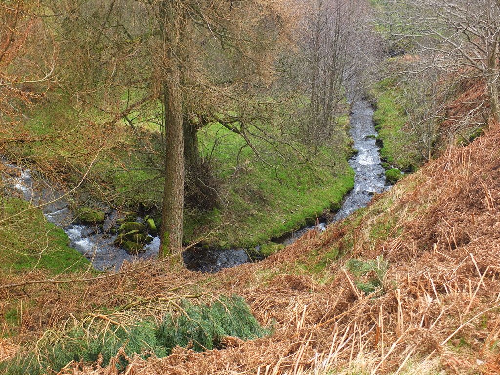 stream stream
