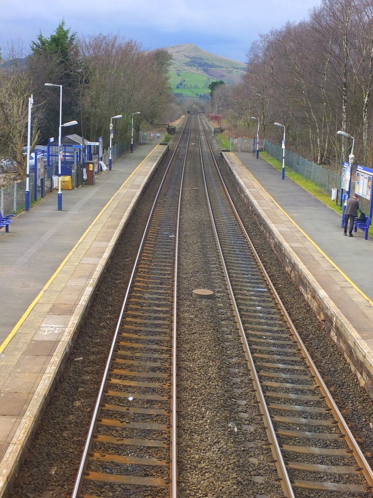 tracks