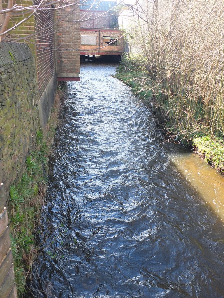 River Bowlin Macclesfield - DSCF2584.jpg