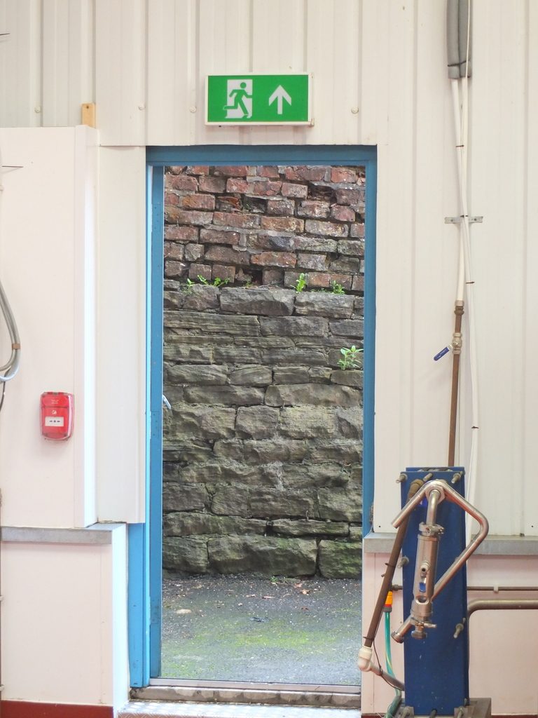 back door Macclesfield - DSCF2608.jpg