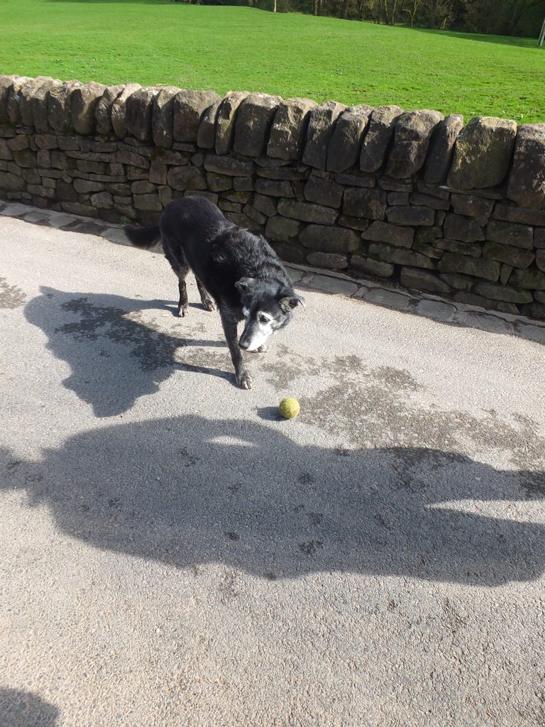play ball! Macclesfield - DSCF2621.jpg