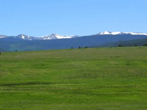 Wheeler Peak across the valley
