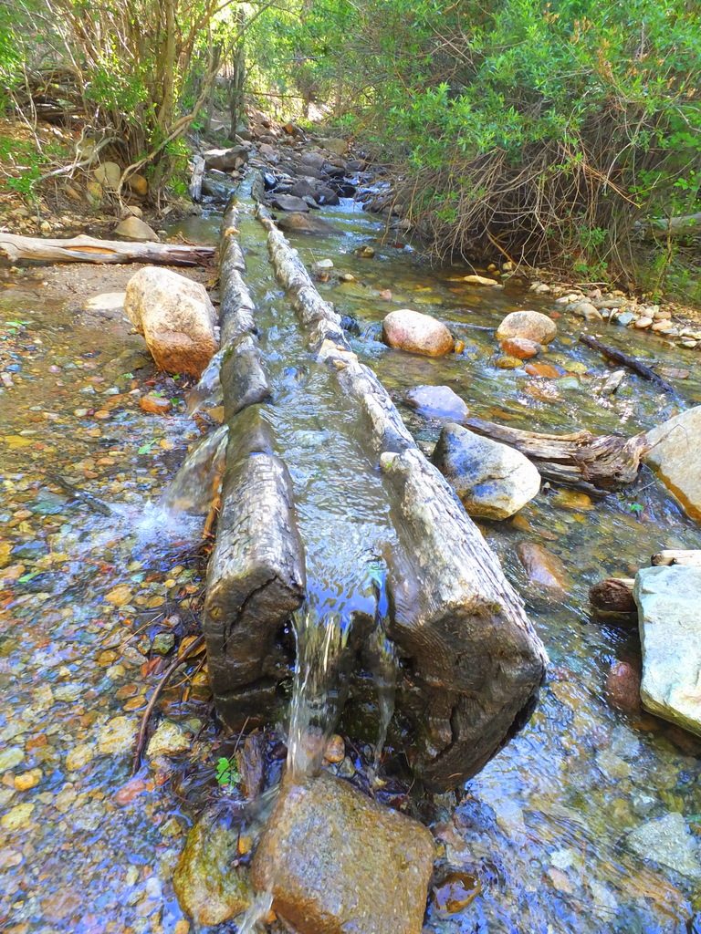 interesting log at the trailhead
