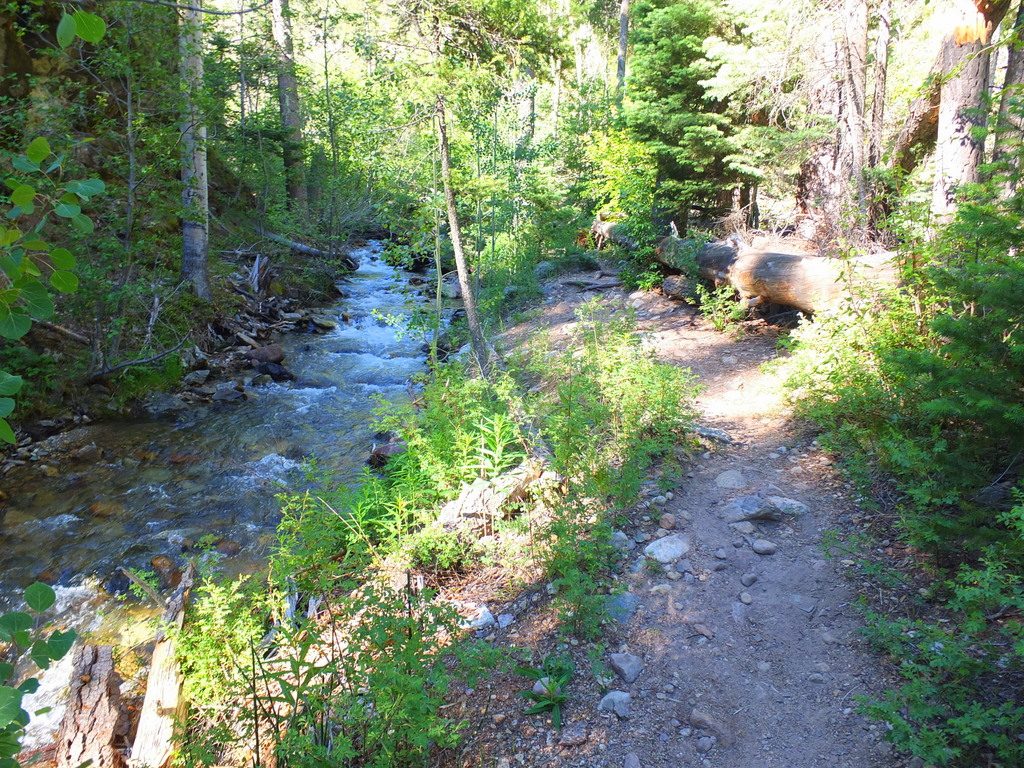 trail along Clear Creek