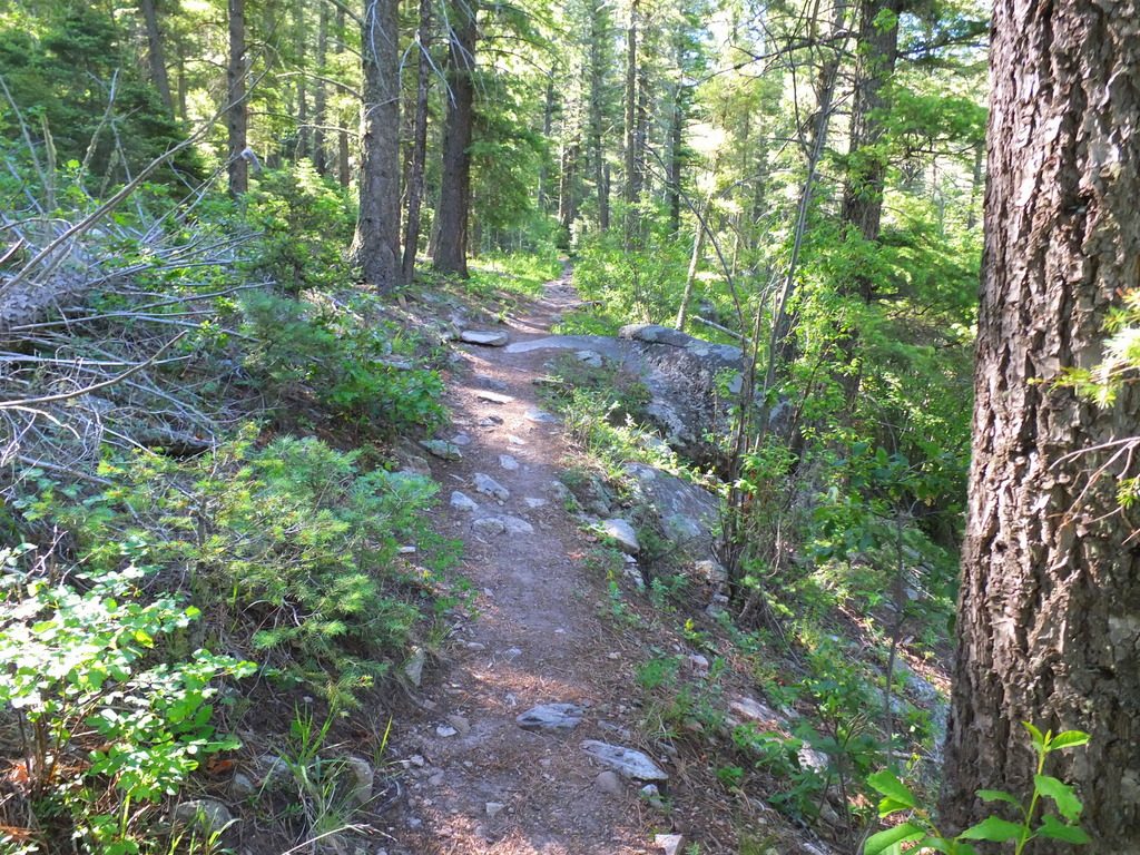 trail