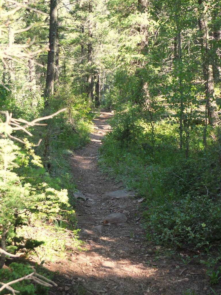 trail