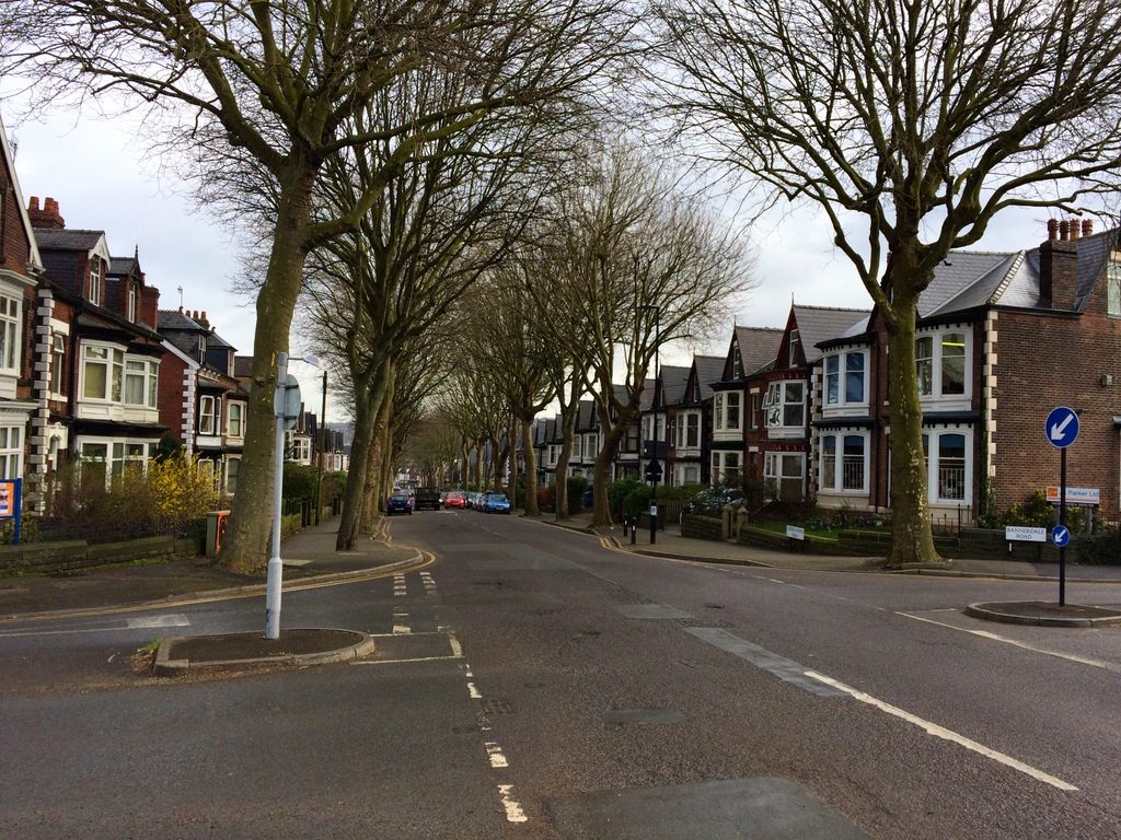 Sheffield - Street Trees