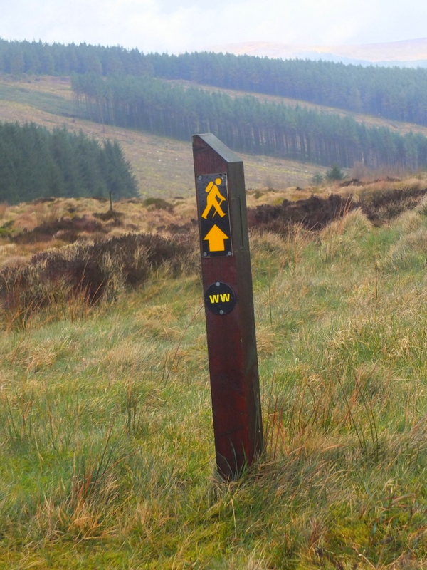 Wicklow Way way marker