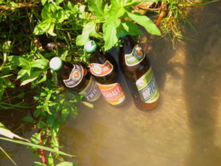 cooling Urban Chestnut brews in the creek cooling Urban Chestnut brews in the creek