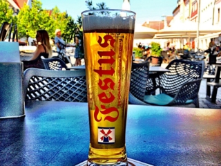 Müllerbräu Festus - an unfiltered kellerbier Müllerbräu Festus - an unfiltered kellerbier