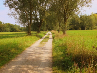 Hallertau countryside Hallertau countryside