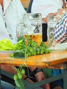 hops and beer