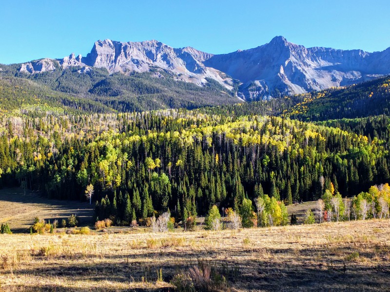 on the Dallas Trail in the Uncompahgre National Forest