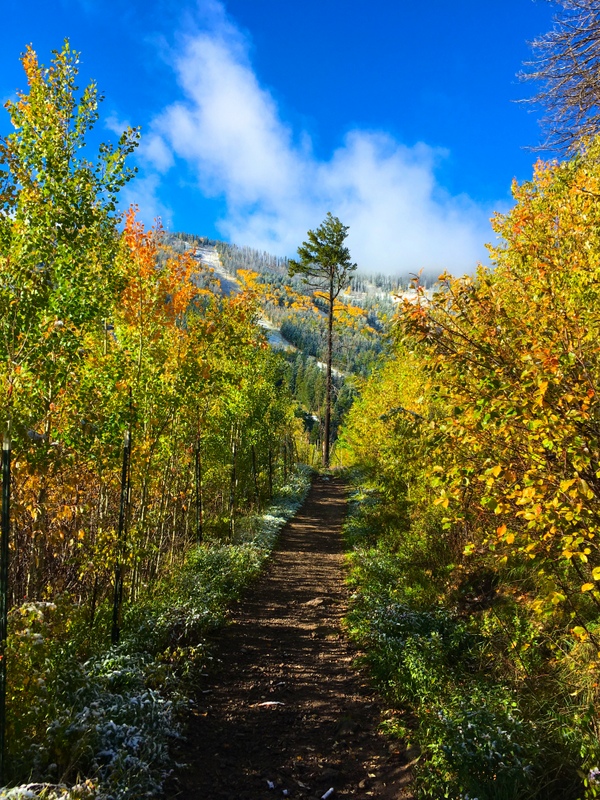 Canada Bonita trail - Santa Fe National Forest