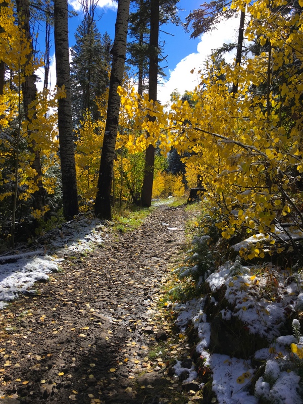 Canada Bonita trail - Santa Fe National Forest