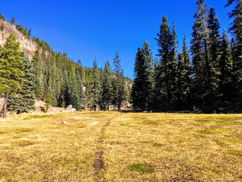 trail through meadow