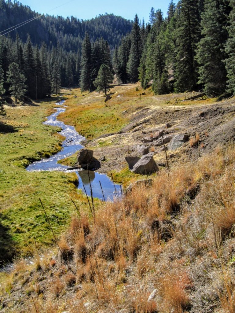 squiggle in the creek