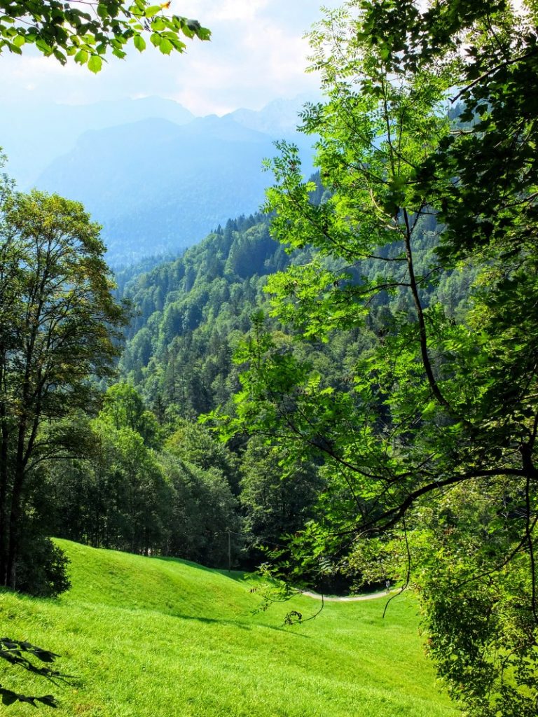 hills are alive