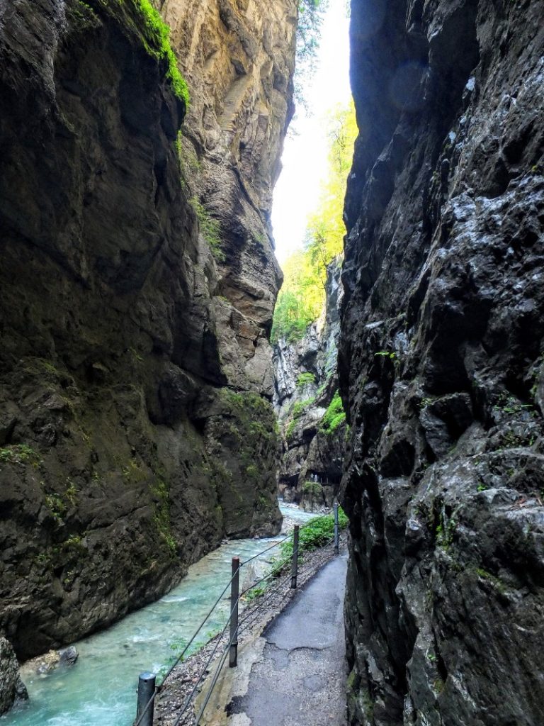 in the gorge