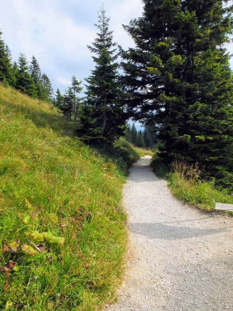 mountain trail