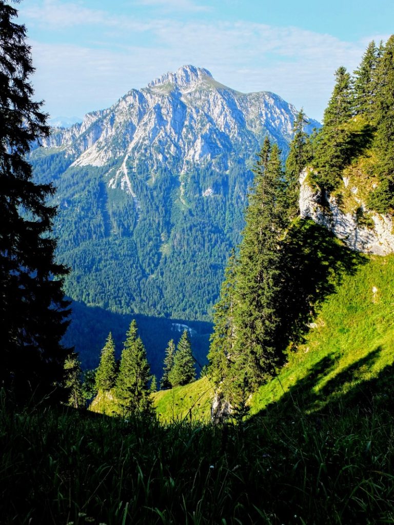 mountain view
