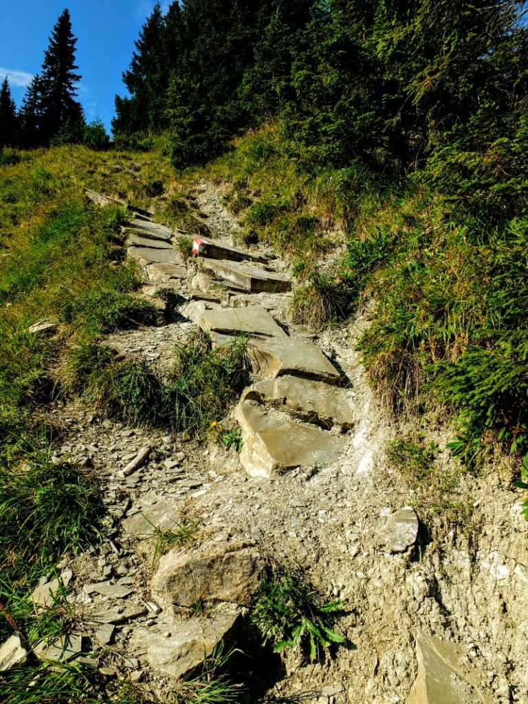 sketchy trail section