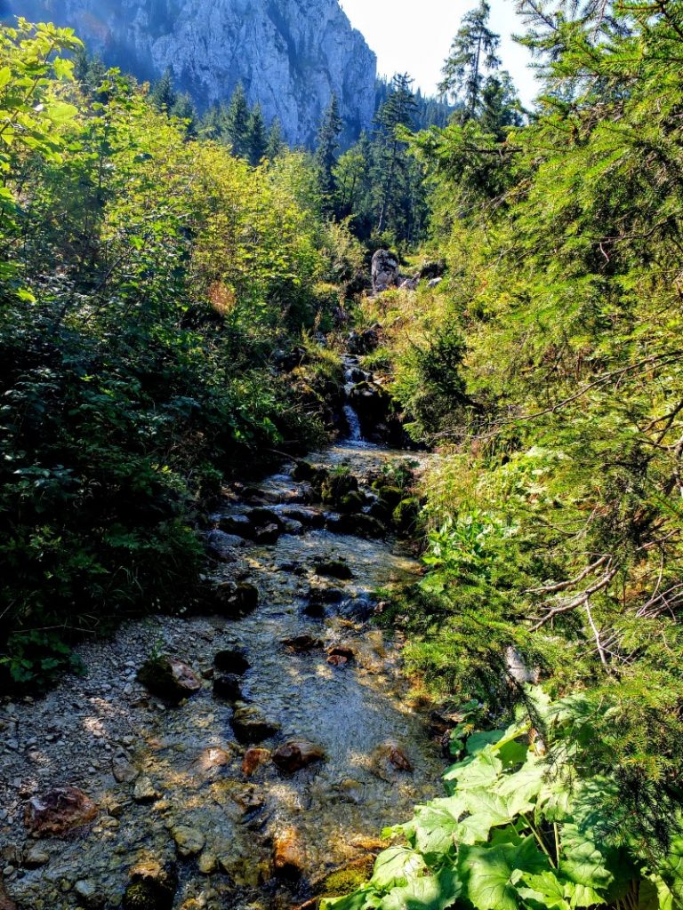 mountain stream