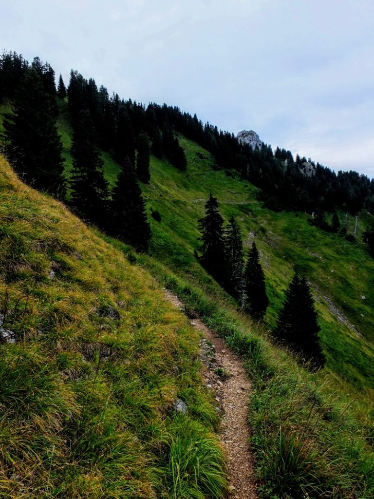 trail cuts steep slope