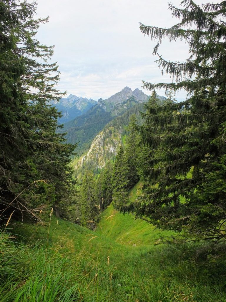 steep side valley