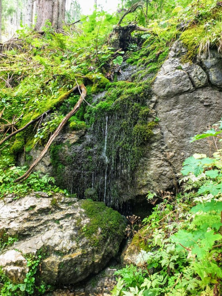 mountain spring