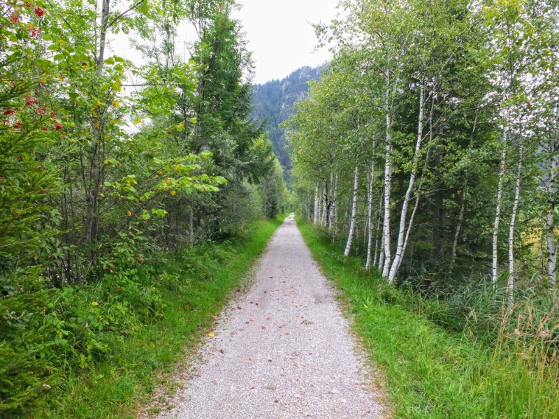 trail in a valley