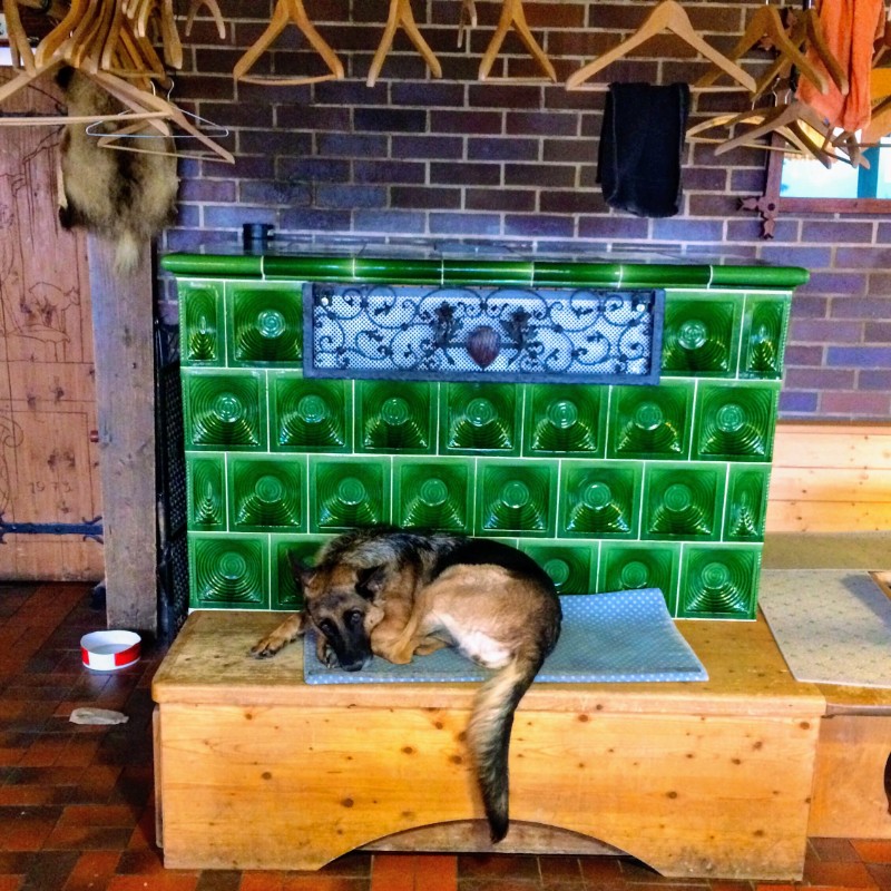 hut mut by the wood stove