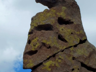 goblin face goblin face