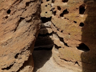 DSCF0900