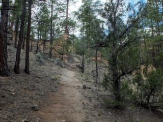 on the trail on the trail