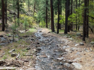 Paliza Creek Paliza Creek