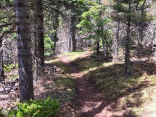 on the trail on the trail