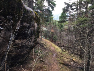on the trail on the trail